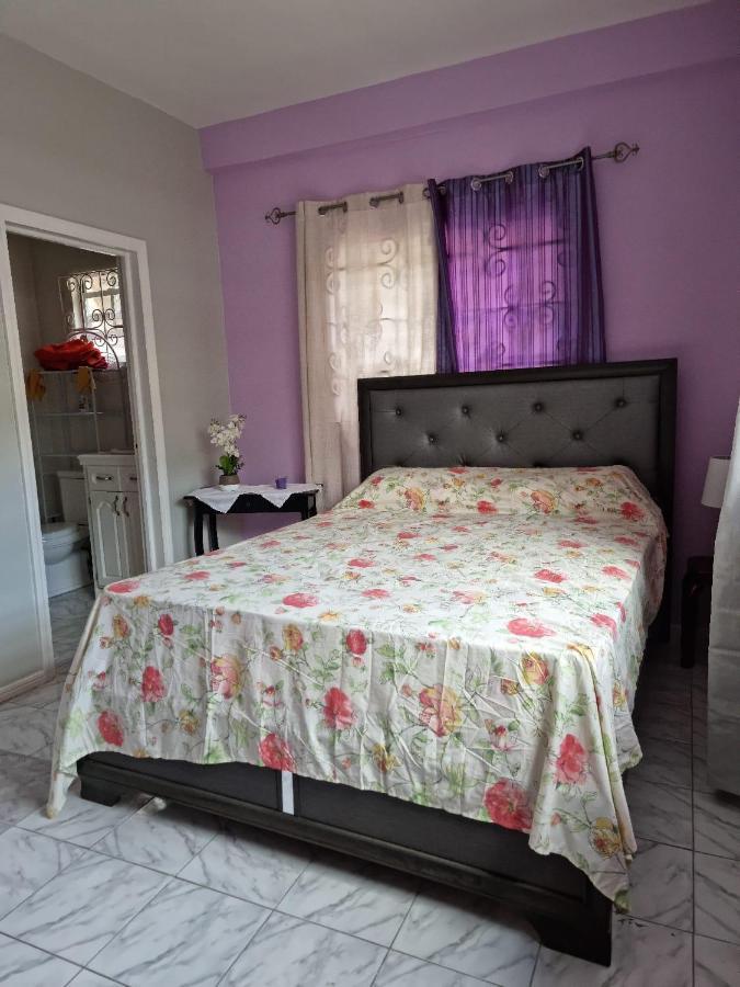 Coco Rose Apartments Soufrière Zewnętrze zdjęcie